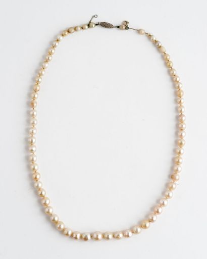  Collier de perles de culture en chute, fermoir tonneau en or gris (750) serti de...