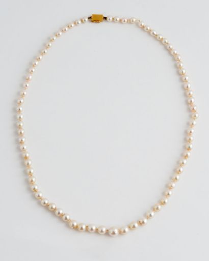  Lot de deux colliers de perles de culture en chute, fermoir cliquet en or jaune...