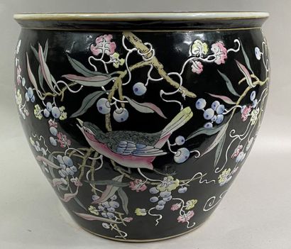  CHINE, XXe siècle 
Vasque à poissons en porcelaine émaillée sur fond noir à décor...