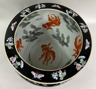  CHINE, XXe siècle 
Vasque à poissons en porcelaine émaillée sur fond noir à décor...