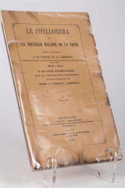null VIALLA (Louis) : Le phylloxera et la nouvelle maladie de la vigne. Étude comprenant...