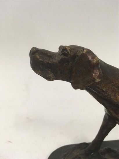 null Bronze
chien braque 
2/25
H : 15 cm