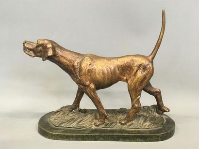 null Bronze
chien braque 
2/25
H : 15 cm