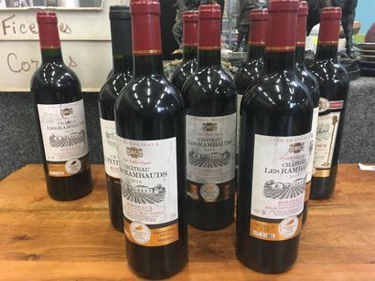 null Lot de 10 bouteilles de Bordeaux