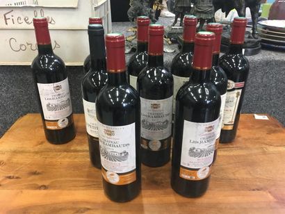 null Lot de 10 bouteilles de Bordeaux