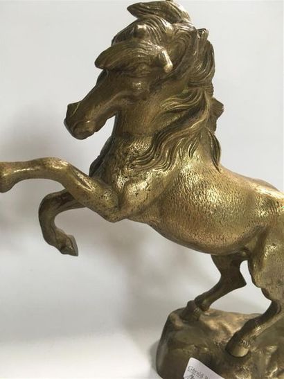 null Cheval en bronze
H: 31 cm