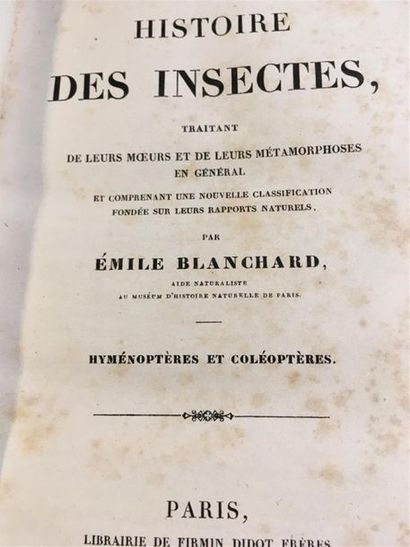 null BLANCHARD, Emile
Histoire des Insectes, Traitant de Leurs Moeurs et de Leurs
Metamorphoses...