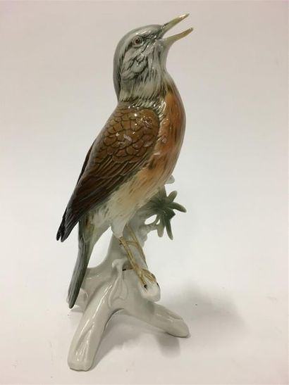 null Karl EINTZ
Oiseau sur branche
Sujet en porcelaine 
H : 25, 5 cm
Une feuille...