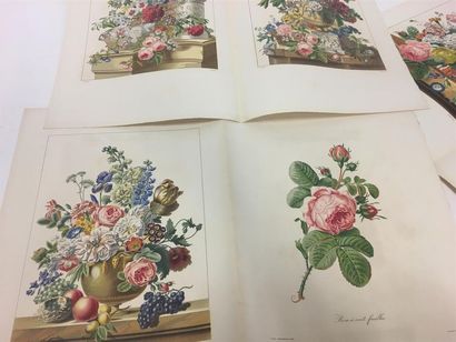 null MOURLOT 6 gravures en couleur de bouquets de fleurs 
32 x 24 chaque