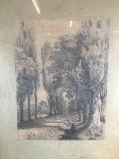 null Dessin de sous bois, joint pièces encadrées dont gravures
Dessin : 38 x 28 ...