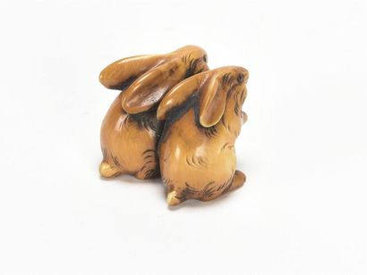 null JAPON, Deux lièvres, netsuké en ivoire
Ere Meiji
H : 3 - L : 3, 8 cm