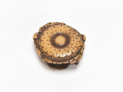 null JAPON, Coulisseau ovale avec feuille de chênes et chrysanthèmes en ivoire sculpté
Ere...