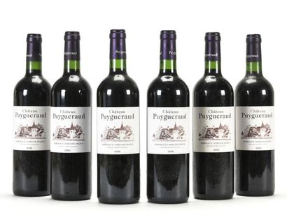 null 6 B CHÂTEAU PUYGUERAUD Bordeaux Cötes de Francs 2006