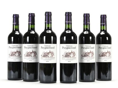 null 6 B CHÂTEAU PUYGUERAUD Bordeaux Cötes de Francs 2010