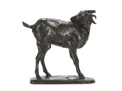 null Jean PAVIE (1876-1928)
Chèvre 
Epreuve en bronze à patine noire reposant sur...
