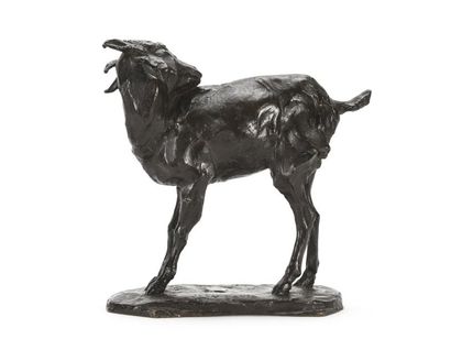 null Jean PAVIE (1876-1928)
Chèvre 
Epreuve en bronze à patine noire reposant sur...