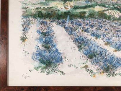 null Urbain HUCHET
champs de lavande en Provence
litographie
57x300cm
