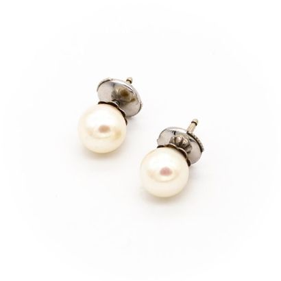 null Paire de boutons d'oreilles en or blanc (750) 18K ornés d'une perle de culture....