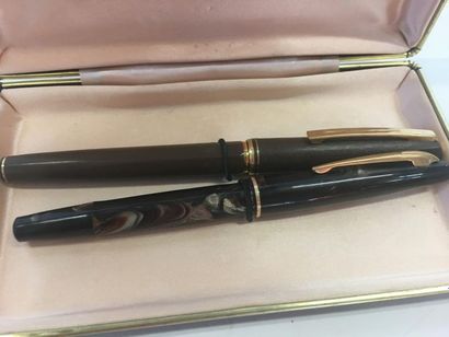null Deux stylos plume or 18 k