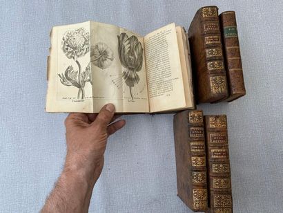 null Un lot de 5 volumes XVIIIe dont Pluche, Le spectacle de la nature. Nombreuses...
