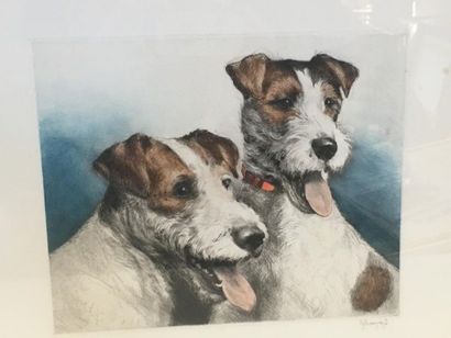 null Fox terrier gravure
36 x 46 cm