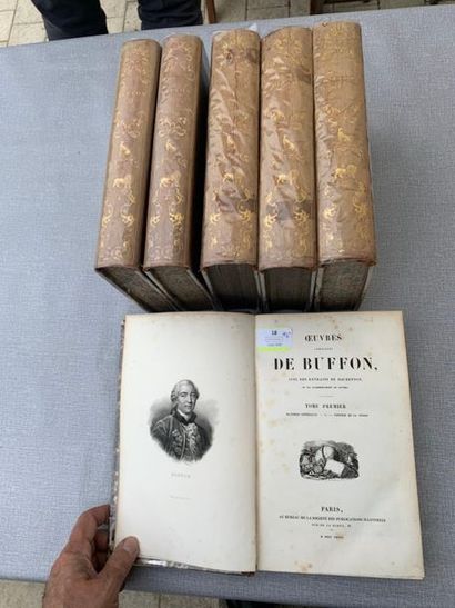 null Les oeuvres complètes de Buffon. 1839. 6 volumes. Nombreuses gravures réhaussées...