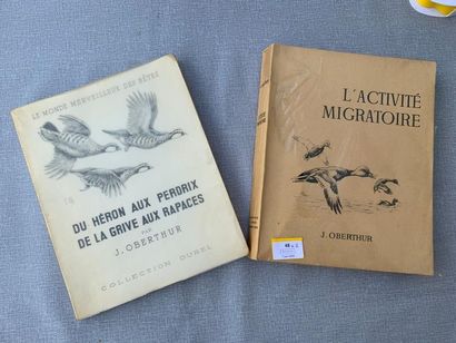 null Chasse. Un ensemble de 2 volumes d'Oberthur : L'activité migratoire et Du héron...