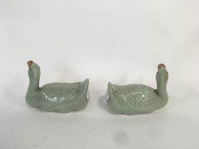 null Chine, Paire de canards en porcelaine céladon 
Début 20ème siècle
L : 15cm,...