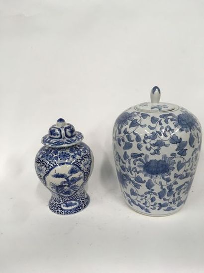 null Chine,
Deux pots couverts
A décor bleu et blanc
H plus grand : 37 cm