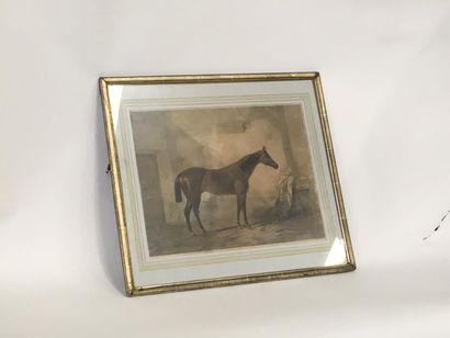 null Cheval de course
Lithographie