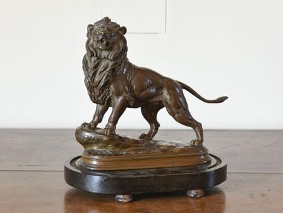 null DELABRIERRE 
Lion 
Sujet en bronze patiné 
H : 25 L : 30 cm