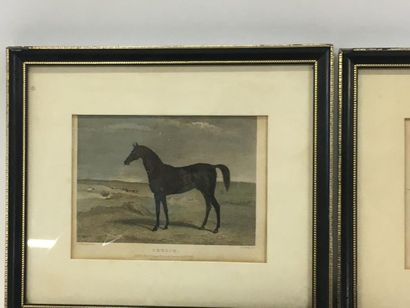 null Deux gravures anglaises chevaux 
11 x 15 cm