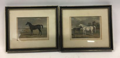 null Deux gravures anglaises chevaux 
11 x 15 cm