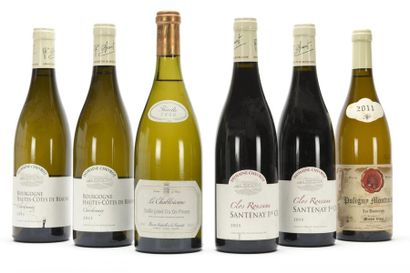 null 2 B SANTENAY CLOS ROUSSEAU (1er Cru) e.l.s. Domaine Chevrot 2015
2 B HAUTES...