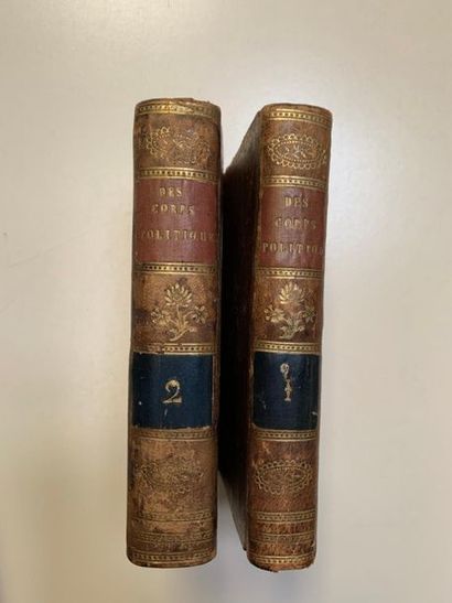 null Des corps politiques et de leurs gouvernements. Lyon 1764. Deux volumes, pleine...