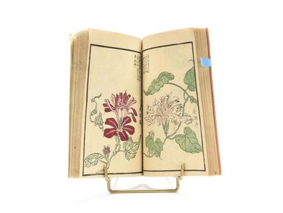 null [JAPON] Recueil de reproductions de représentations de fleurs, circa 1870. Un...