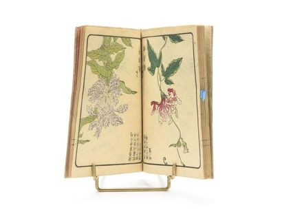 null [JAPON] Recueil de reproductions de représentations de fleurs, circa 1870. Un...