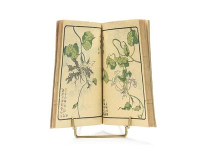 null [JAPON] Recueil de reproductions de représentations de fleurs, circa 1870. Un...