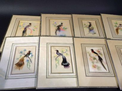 null Dix aquarelles réhaussées de plumes d'oiseaux
Vers 1900
18 x 13, 5 cm