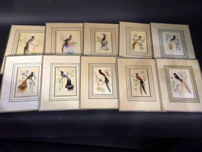 null Dix aquarelles réhaussées de plumes d'oiseaux
Vers 1900
18 x 13, 5 cm