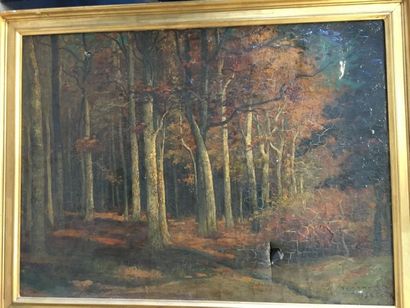 null Th LEGRAND
Vue de forêt
Huile sur toile
Signée 
52 x 72 cm
Accident