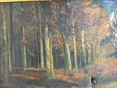 null Th LEGRAND
Vue de forêt
Huile sur toile
Signée 
52 x 72 cm
Accident