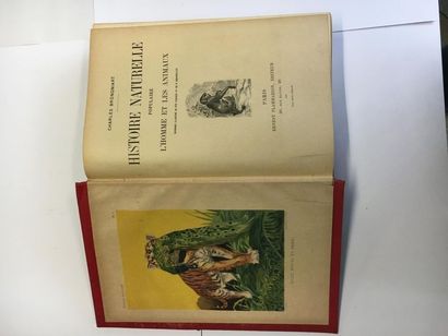 null Histoire naturelle populaire L'Homme et les animaux. Charles Brongniart. Edition...