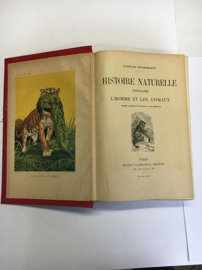 null Histoire naturelle populaire L'Homme et les animaux. Charles Brongniart. Edition...