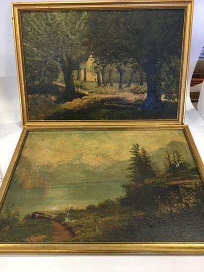 null Sous bois et lac de montagne
paire de paysages panneaux signé
34 x 48 cm
