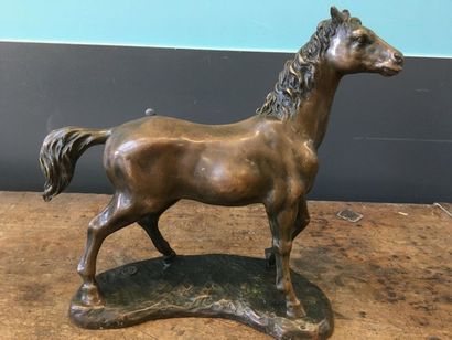 null Milo cheval en bronze
Signé sur la terasse
H : 30 cm
L : 28 cm
Cachet de fo...