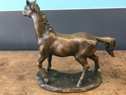 null Milo cheval en bronze
Signé sur la terasse
H : 30 cm
L : 28 cm
Cachet de fo...