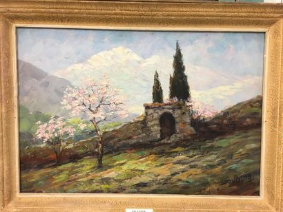 null D. JACOBS
Vue de Corse
Huile sur panneau
Signé en bas à droite
61 x 90 cm