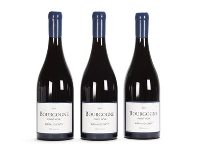 null 3 B BOURGOGNE PINOT NOIR Arnaud Ente 2017