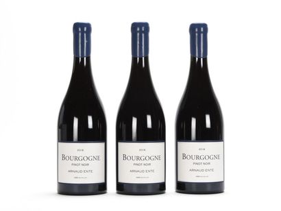 null 3 B BOURGOGNE PINOT NOIR Arnaud Ente 2018